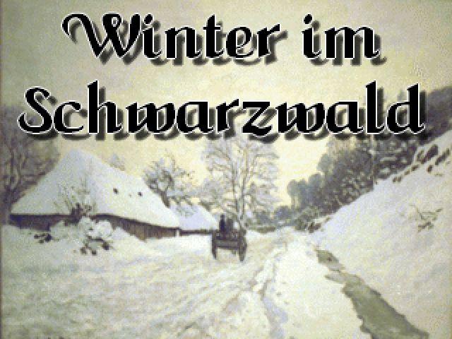 Winter im Schwarzwald