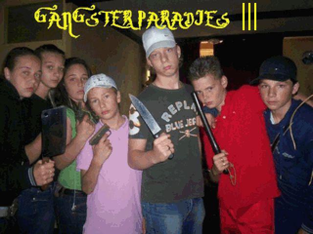 Gangsterparadies 3