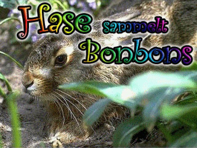 Hase sammelt Bonbons